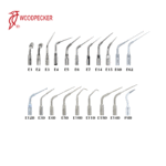 Woodpecker Scaling Tips Endo